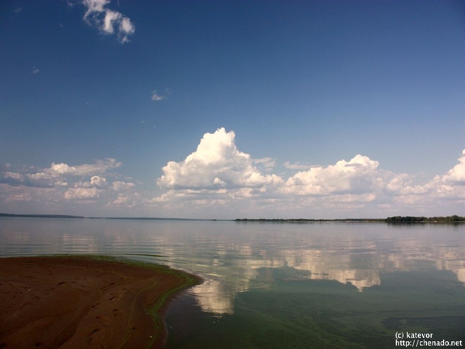 ПРОКАРИОТЫ Отдел сине-зеленые водоросли ( цианобактерии, хлороксибактерии, ПРОКАРИОТЫ Отдел сине-зеленые водоросли ( цианобактерии, хлороксибактерии,
