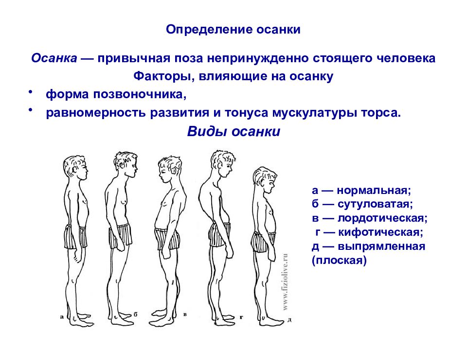 Различают степени ей нарушения осанки. Методы оценки и коррекции осанки и телосложения. Факторы влияющие на формирование правильной осанки. Методы оценки осанки. Осанка это определение.