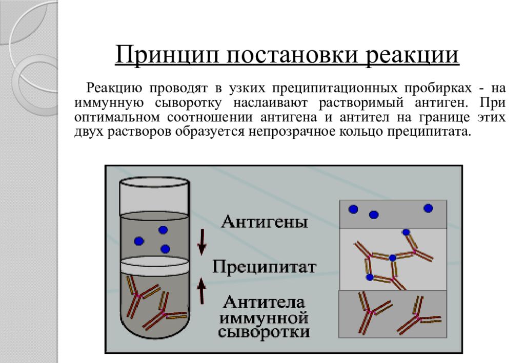 Реакция преципитации картинки