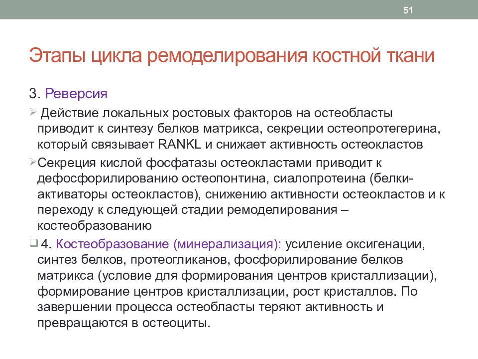 Реверсия. Этапы ремоделирования костной ткани. Стадии ремоделирования костной ткани биохимия. Этапы ремоделирования костной ткани биохимия. Ремоделирование костной ткани белки.