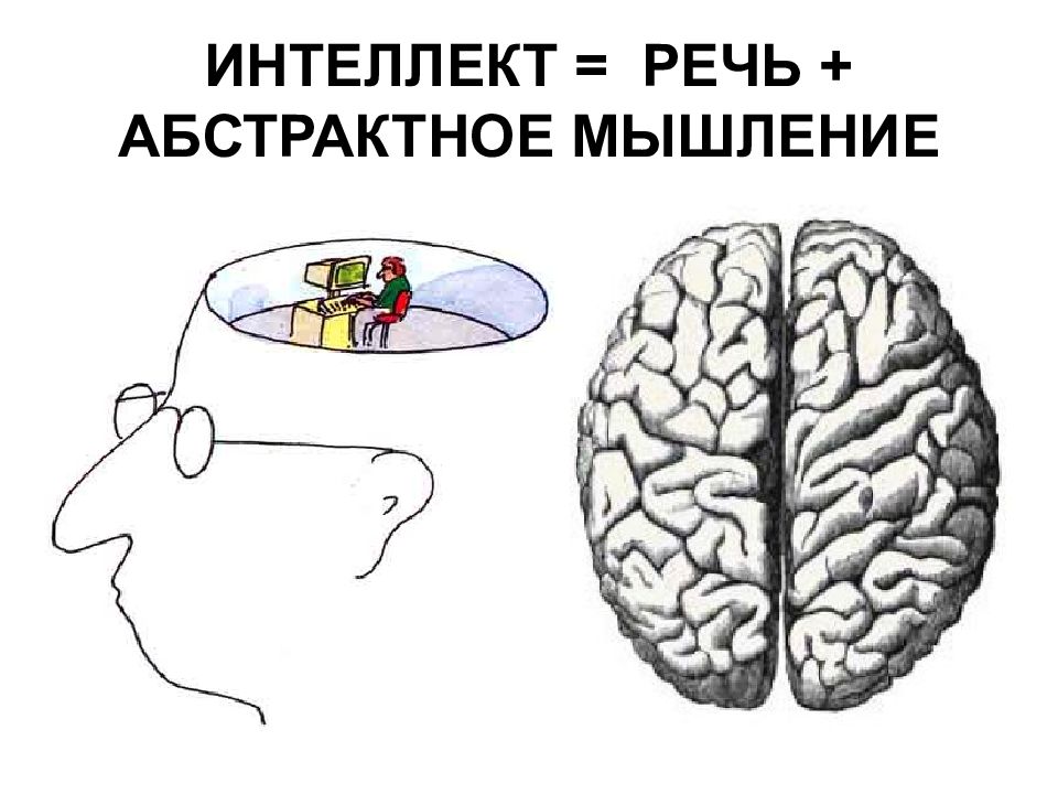 Формирование абстрактного мышления