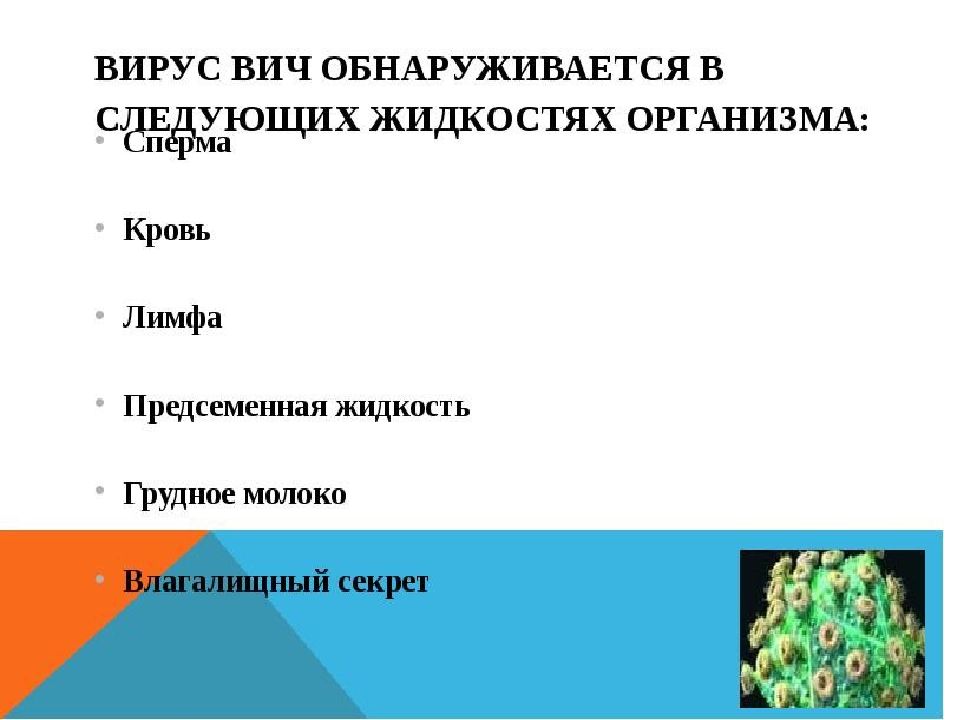 Предсеменная жидкость. Жидкости организм ВИЧ. Вирус ВИЧ обнаруживается в следующих жидкостях организма:. Содержание ВИЧ В предсеменной жидкости.