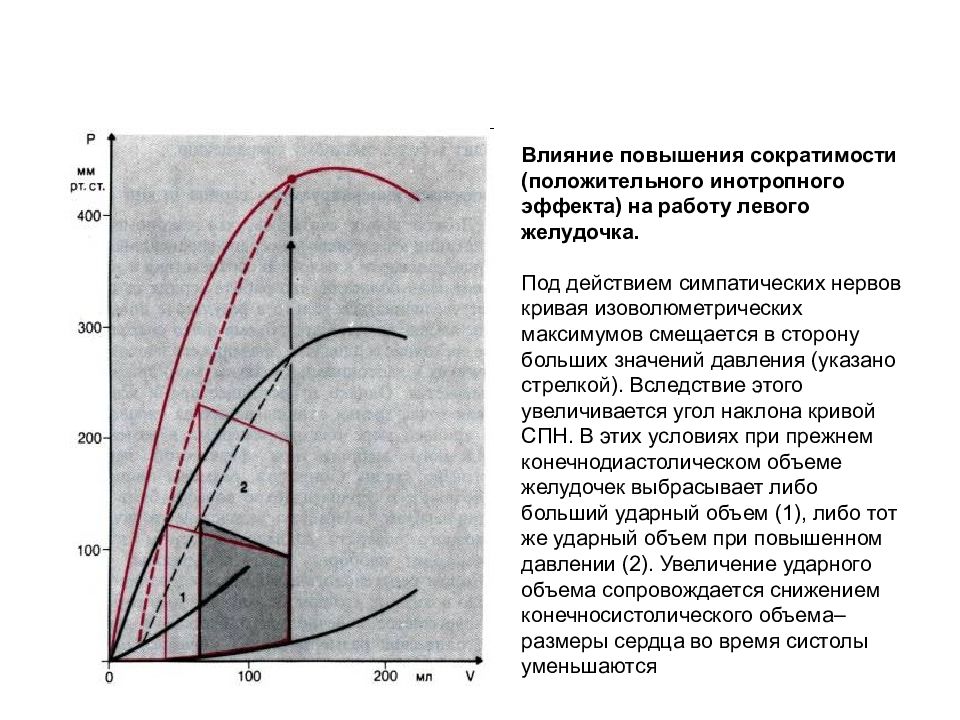 Влияние увеличивается. Увеличение ударного объема сердца. Кривая давление объем для левого желудочка. Увеличение сократимости сердца. Увеличение сократимости сердца эффект.