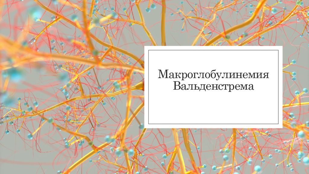 Болезнь вальденстрема презентация