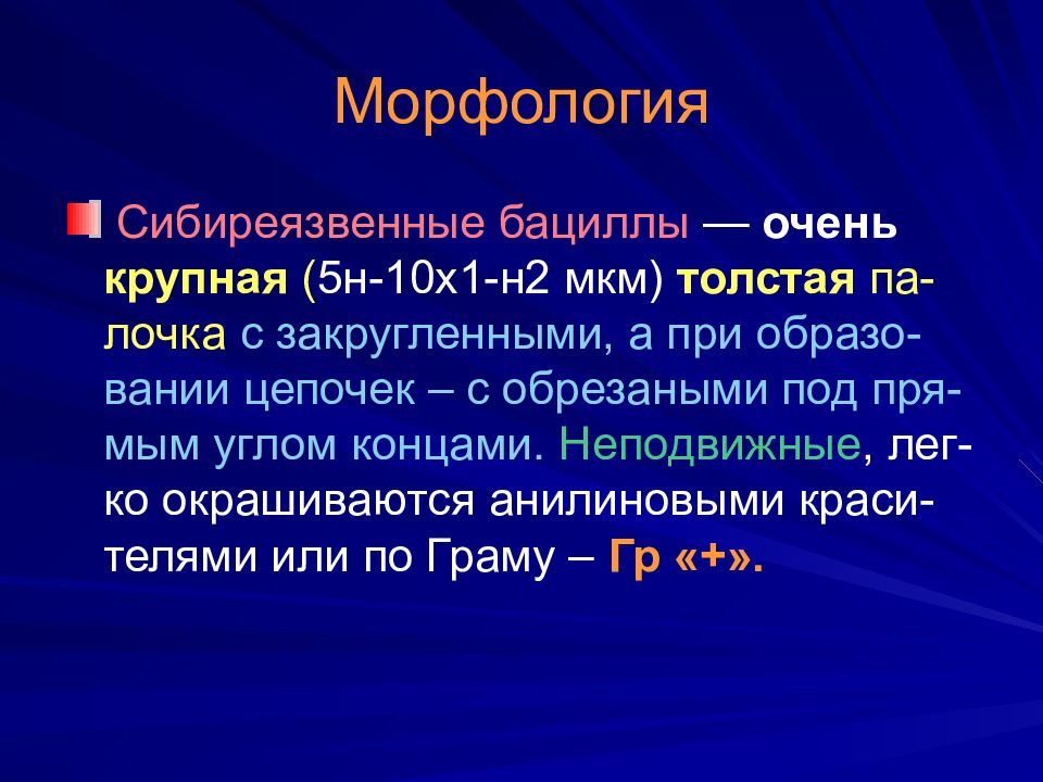 Возбудители микобактериозов. Морфология микобактериозов. Возбудители микобактериозов морфология. Возбудитель лепры морфология. 1. Морфология микобактериях и микобактериозах..