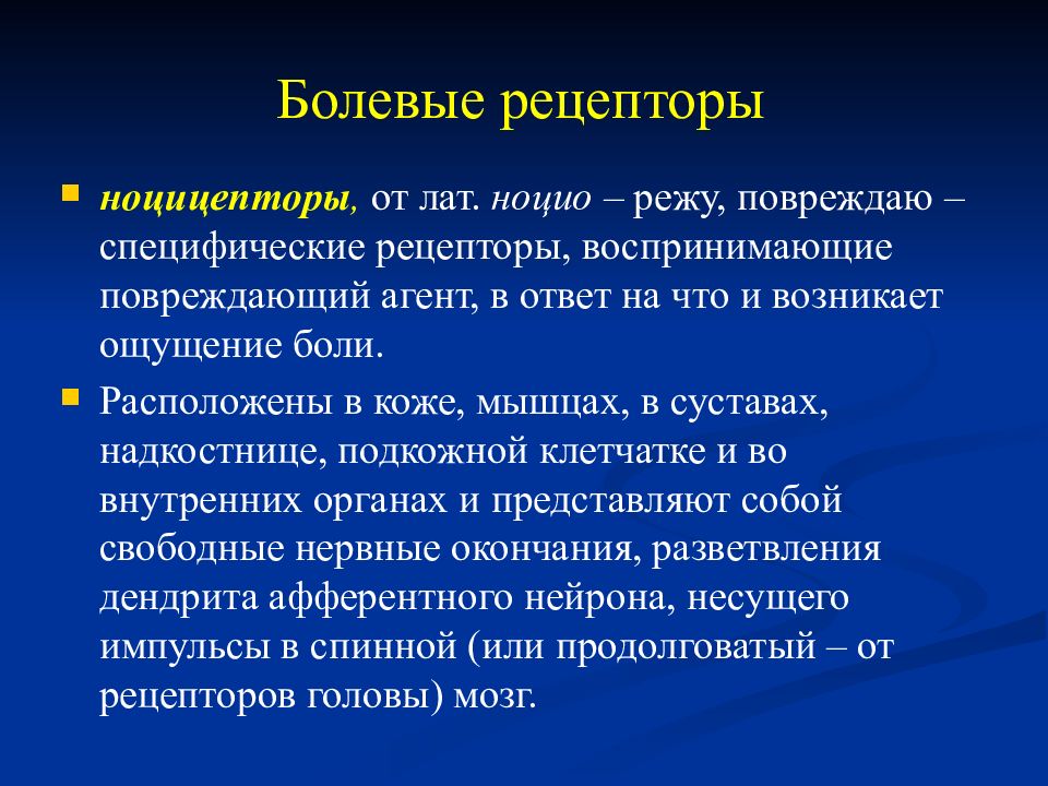 Рецепторы в большом. Ноцицепцептивные рецепторы. Болевые рецепторы. Болевые рецепторы ноцицепторы. Болевые рецепторы располагаются.