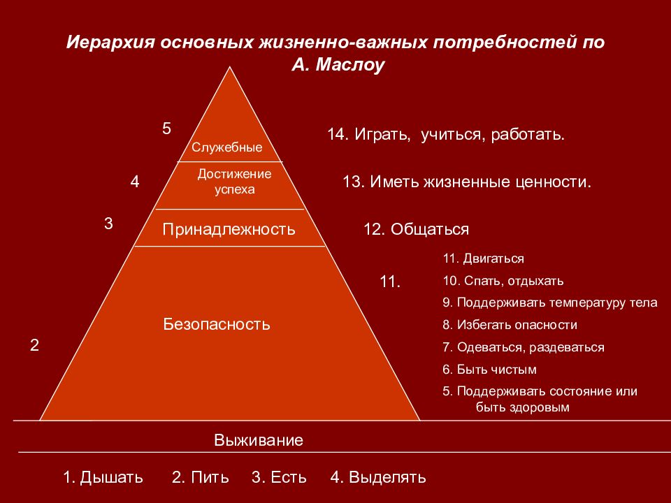 Принципы потребностей. Пирамида по Маслоу 14 основных потребностей человека. Потребности по Маслоу Сестринское дело. Потребности пациента в сестринском деле по Маслоу. Пирамида Маслоу Сестринское дело.