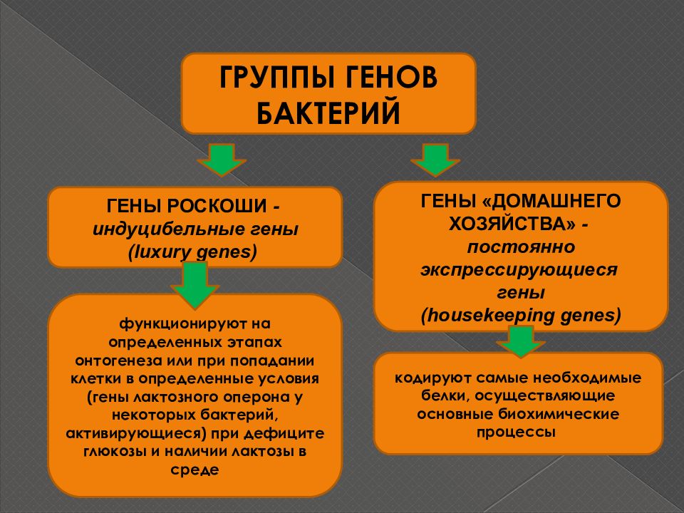 Группы генов. Гены домашнего хозяйства. Гены домашнего хозяйства и гены роскоши. Ген домашнего хозяйства и ген роскоши. Гены домашнего хозяйства примеры.