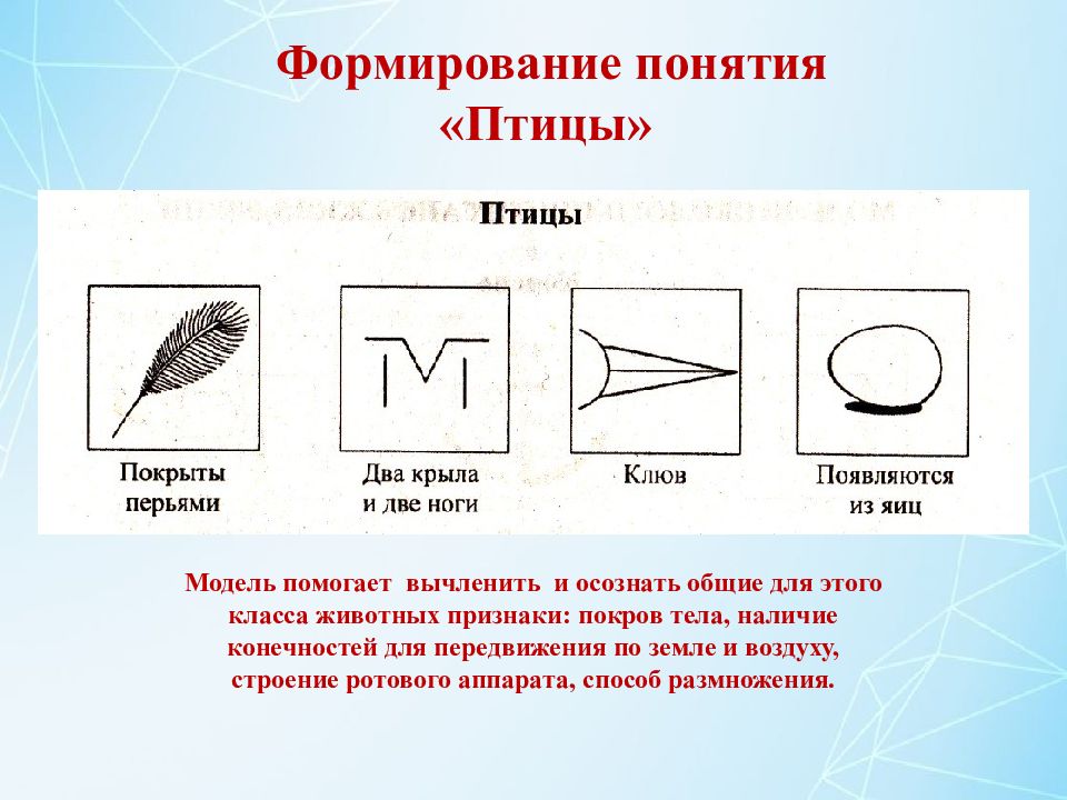 Главные признаки рыб схематический рисунок. Графическая модель птицы. Модели эколого систематических групп. Модель птицы для дошкольников. Графическая модель птицы для дошкольников.