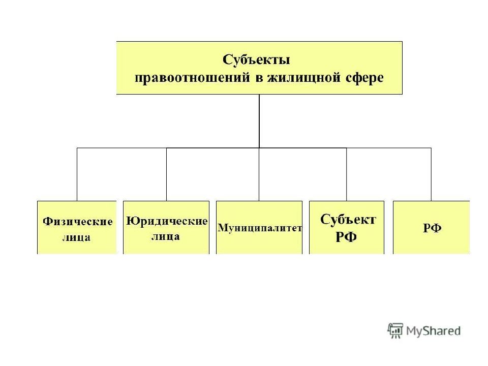 Виды жилищных отношений схема