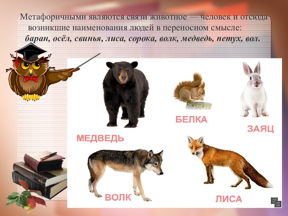 Предложение с названием животного. Имена людей и животных. Животные с человеческими именами. Имена для людей как животные. Загадки метафоричность русской загадки.