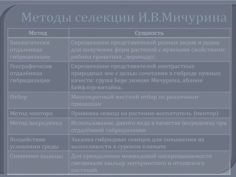 Метод ментора. Методы селекции растений Мичурина. Методы селекционной работы Мичурина таблица. Методы Мичурина в селекции таблица. Методов селекционной работы и. в. Мичурина..