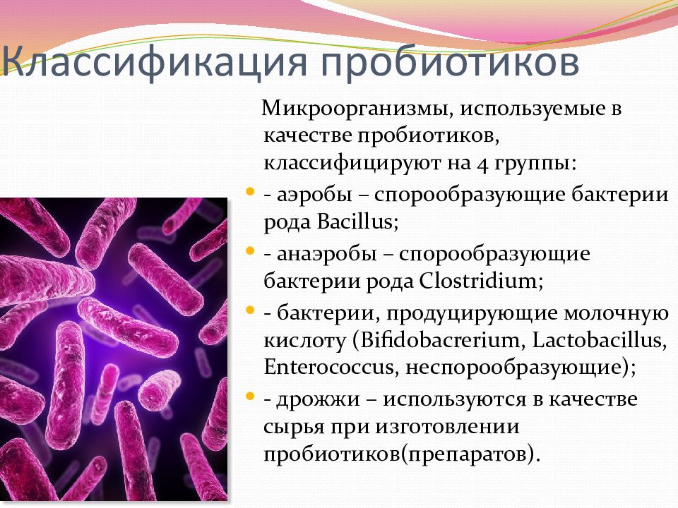 Бактерии в основе