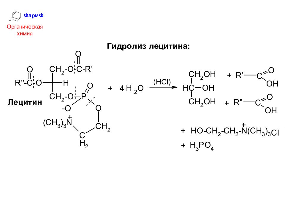 Кислотный гидролиз. Щелочной гидролиз лецитина реакция. Щелочной гидролиз лецитина. Кислотный гидролиз лецитина реакция. Кислотный гидролиз лецитина.