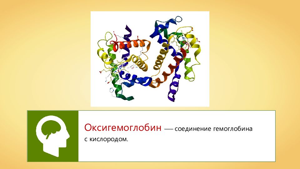 Оксигемоглобин это. Оксигемоглобин. Оксигемоглобин это соединение гемоглобина с. Соединение гемоглобина с кислородом. Оксигемоглобин это в биологии 8 класс