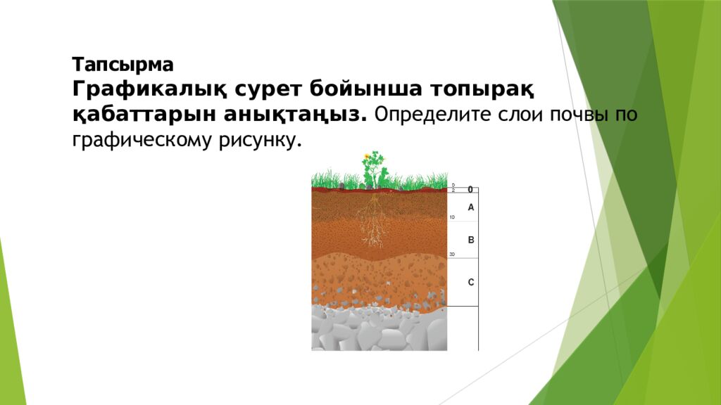 ТОПЫРАҚ ЖӘНЕ ОНЫҢ ҚҰРАМЫ МЕН ҚҰРЫЛЫМЫ