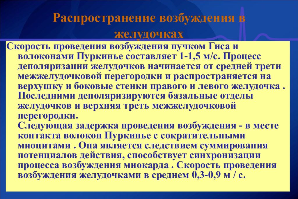 Скорость возбуждения. Скорость распространения возбуждения. Скорость проведения возбуждения в пучке Гиса. Скорость распространения возбуждений по пучку Гиса. Скорость проведения возбуждения по межжелудочковой перегородки.