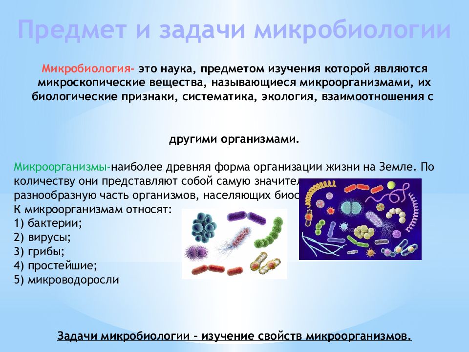 Микробиология это. Микробиология. Классификация микробов микробиология. Бактерии микробиология. Предмет изучения микробиологии.