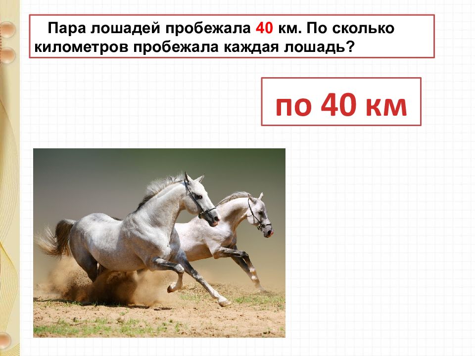 Скорость лошади в километрах в час. Пара лошадей пробежала 40 км сколько пробежала каждая лошадь. Пара лошадей пробежала. Скорость лошади. Стих пара лошадей.