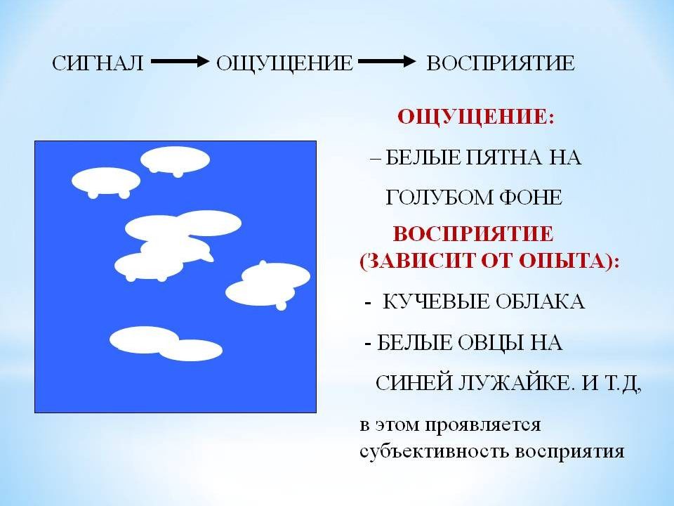 Психофизиология восприятия презентация