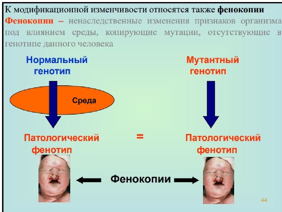 Радиационный мутагенез презентация