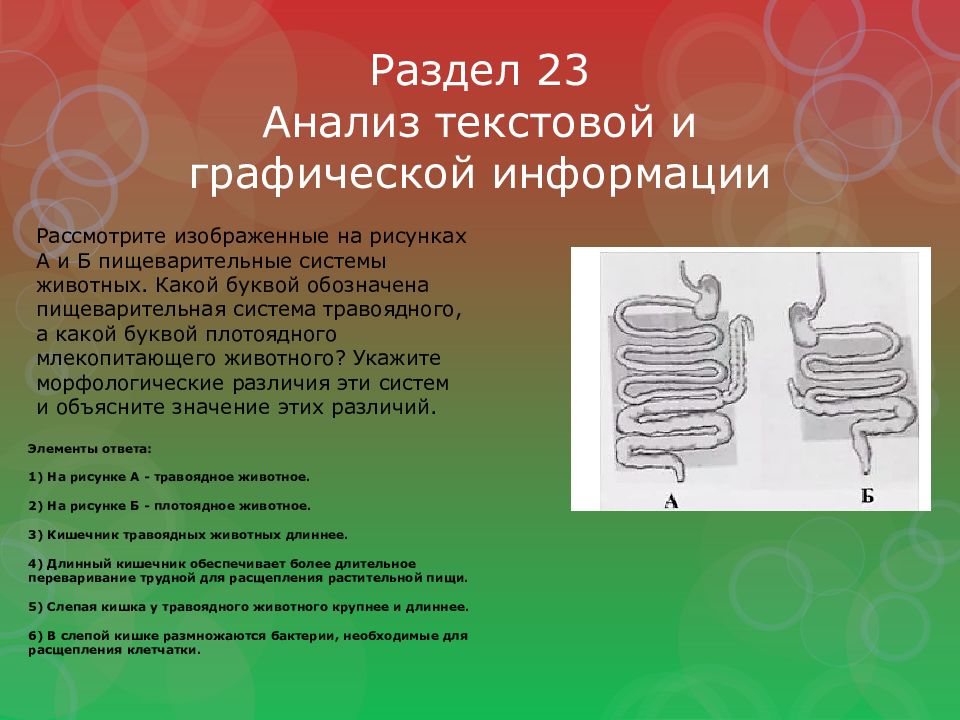 Раздел 23 Анализ текстовой и графической информации