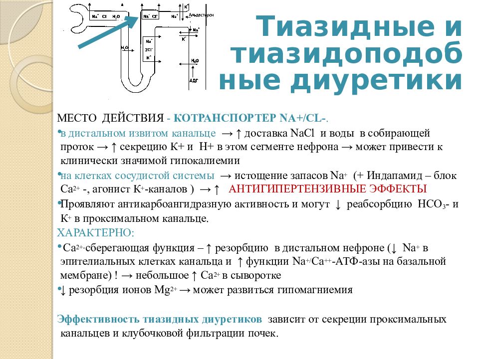 Тиазидные диуретики. Тиазидные диуретики абсолютные противопоказания. Тиазидные диуретики механизм. Механизм действия тиазидных диуретиков. Механизм действия тиазидных и тиазидоподобных диуретиков.