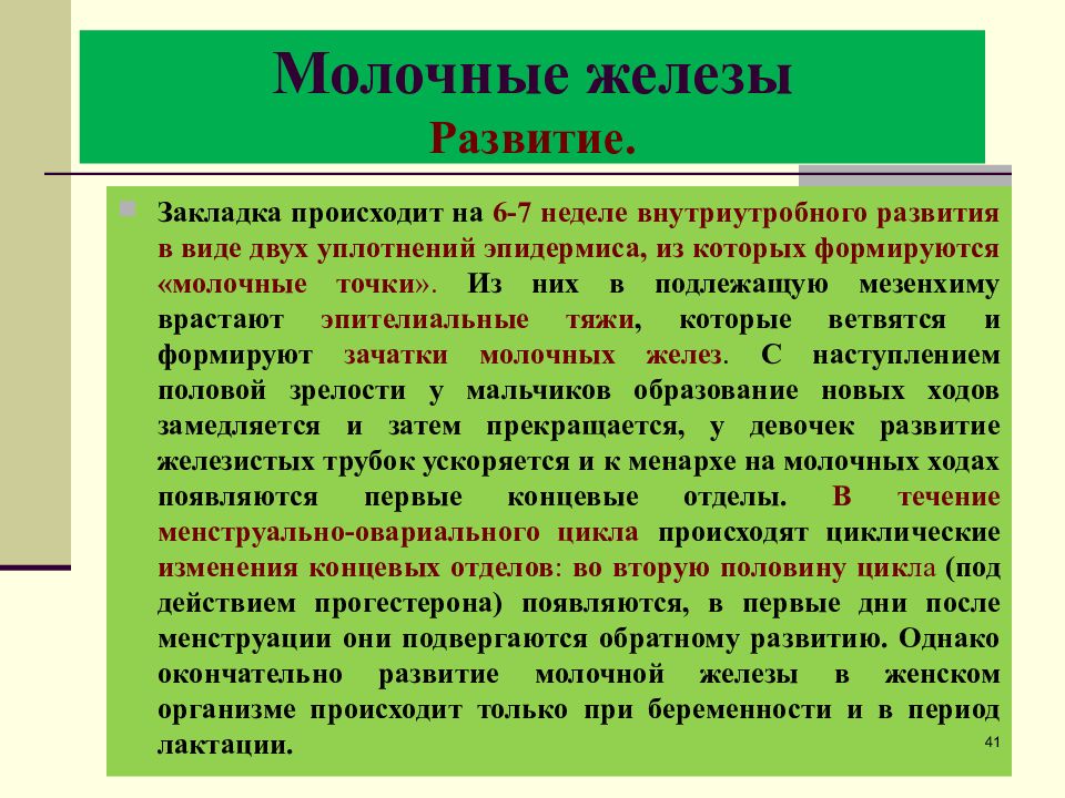 Развитие желез. Молочная железа развитие. Молочные железы развиваются из. Молочные железы строение. Железы по развитию.