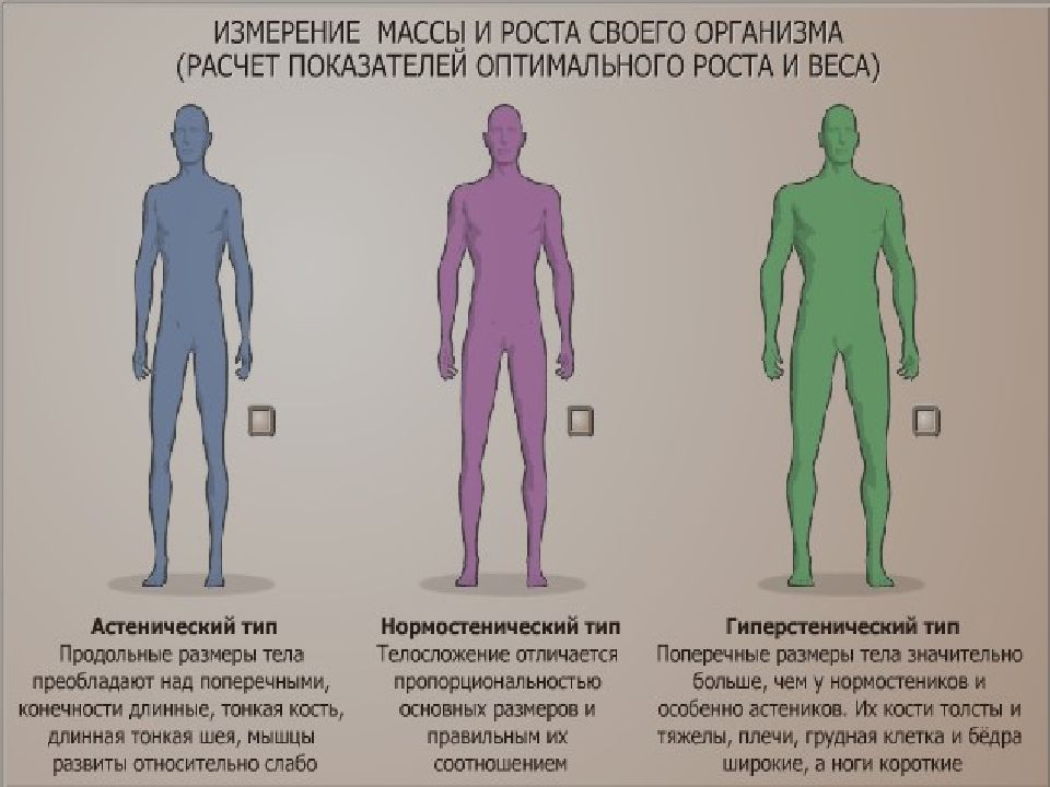 3 4 5 6 измерение. Измерение массы и роста своего организма вывод. Практическая работа измерение рост веса человека. Практическая работа измерение своего роста и массы тела. 