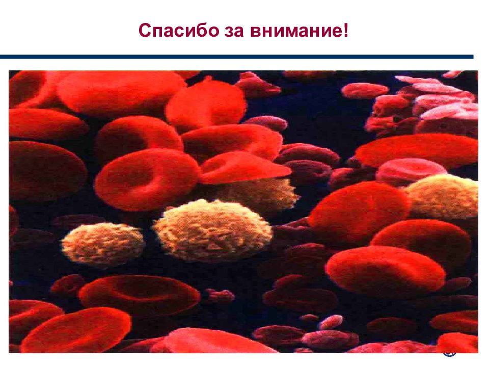 Анемия стоп. Презентация на тему анемия у детей. Спасибо за внимание эритроциты. Спасибо за внимание железодефицитная анемия.