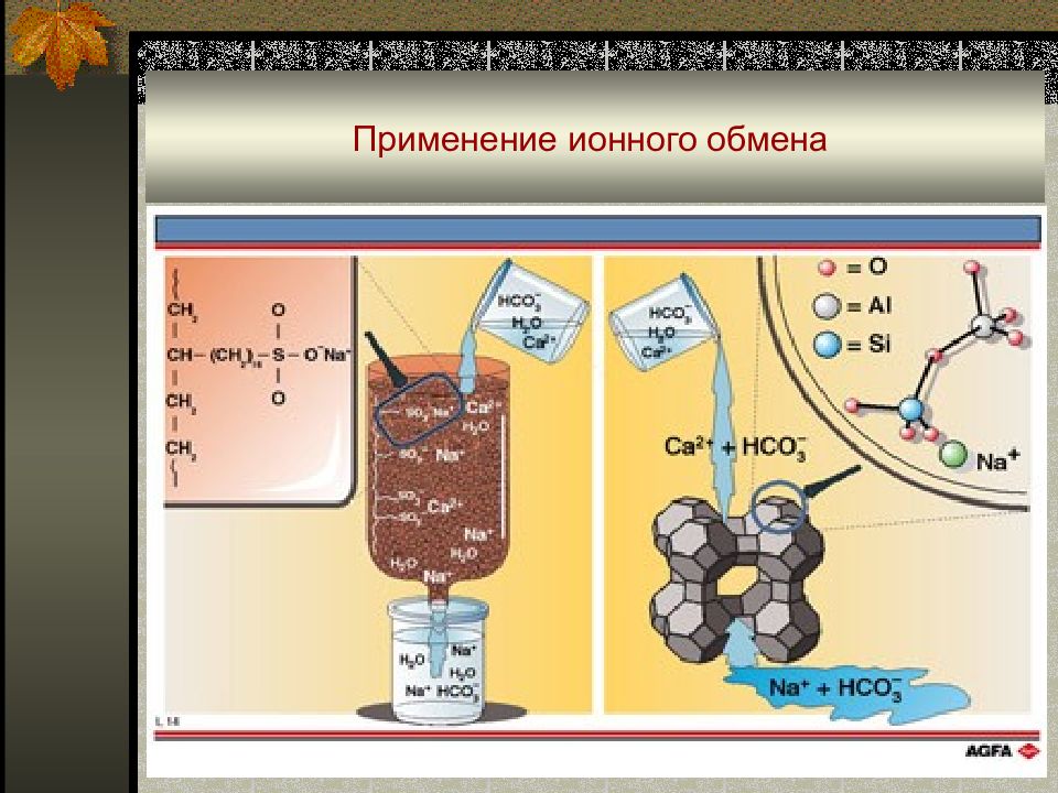 Схема ионного обмена