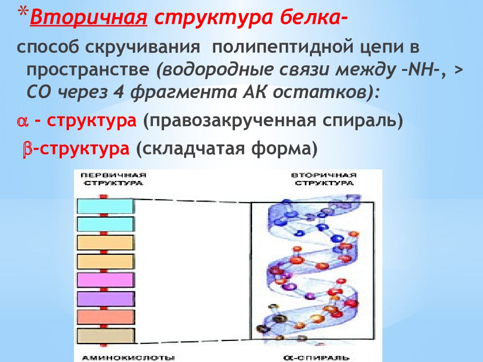 Аминокислоты и белки презентация