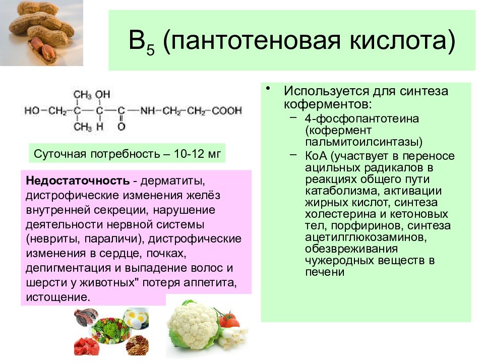 Витамин в5 презентация