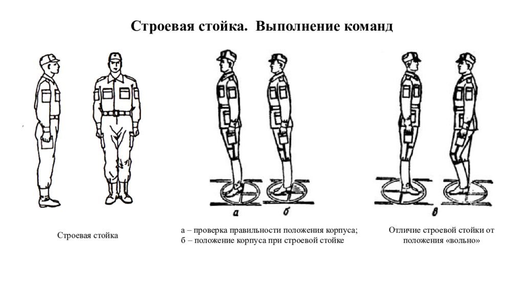 Команда становись. Строевая стойка. Строевая стойка и выполнение команд. Строевая стойка элементы строевой стойки. Строевая стойка команды.