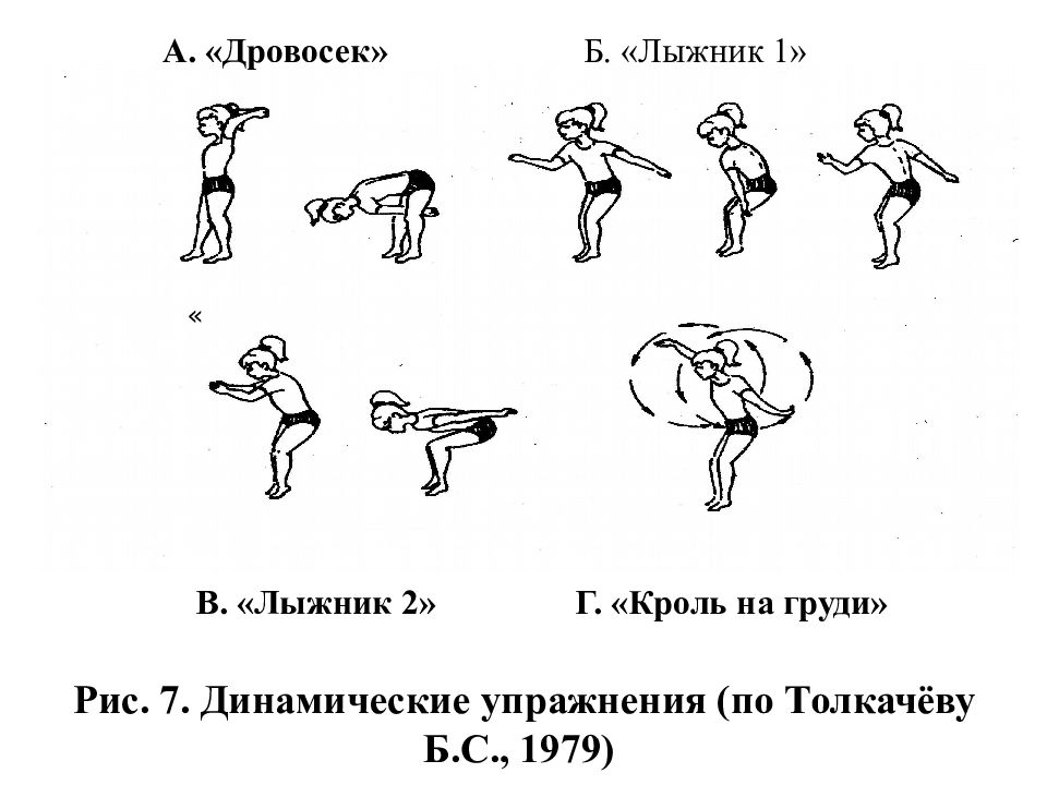 Динамические упражнения направленные на