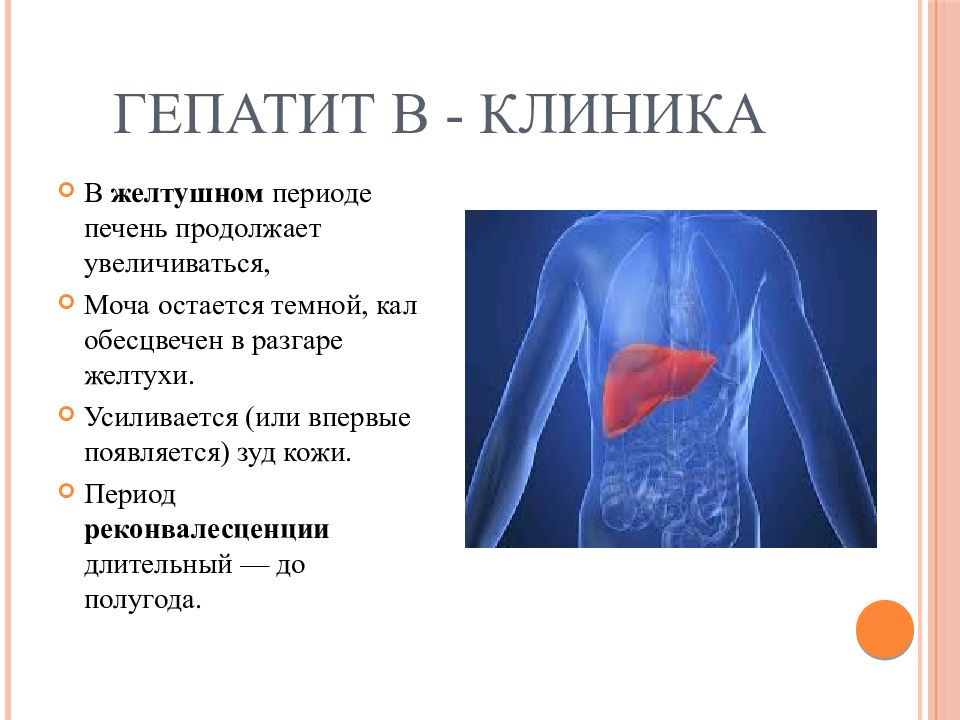 Гепатит а презентация с картинками