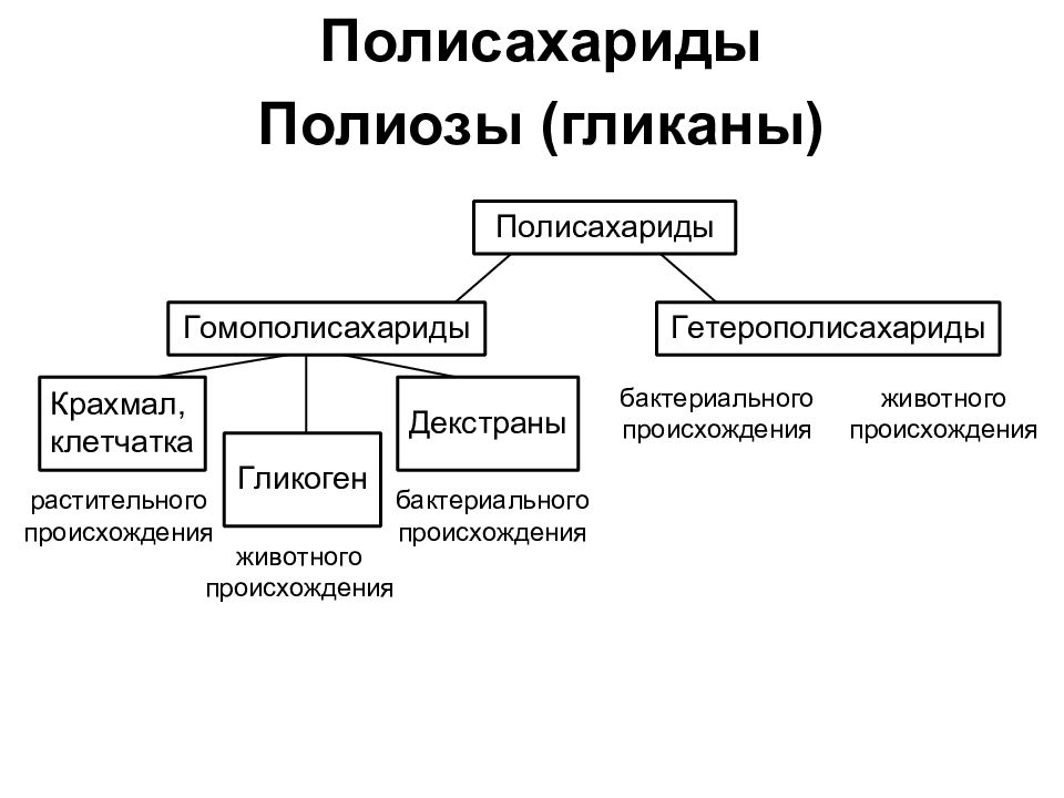 Полисахариды. Классификация полисахаридов. Классификация полисахаридов схема. Классификация полисахаридов Фармакогнозия. Полисахариды классификация строение свойства.