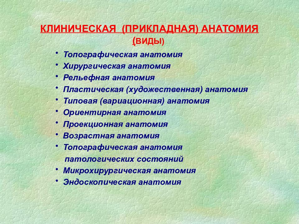 Клиническая анатомия. Прикладная анатомия. Разделы топографической анатомии. Виды клинической анатомии. Виды прикладной клинической анатомии.