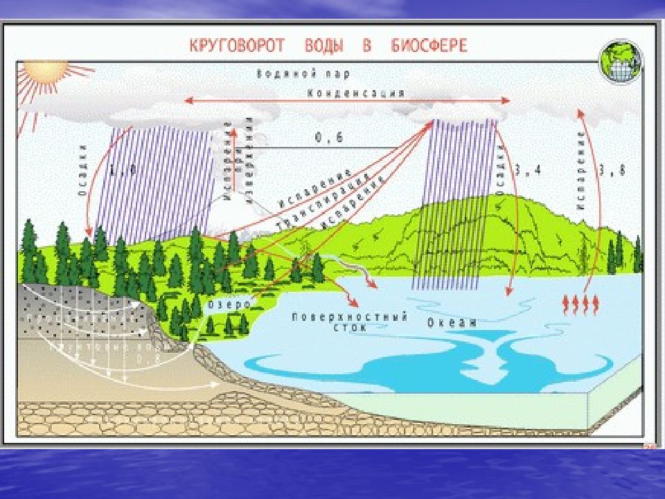 Вода в биосфере. Круговорот воды в биосфере. Полный цикл круговорота воды в биосфере. Круговорот воды в биосфере схема. Круговорот воды в биосфере легкая схема.