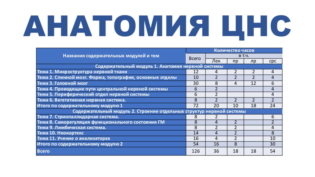 АНАТОМИЯ ЦНС