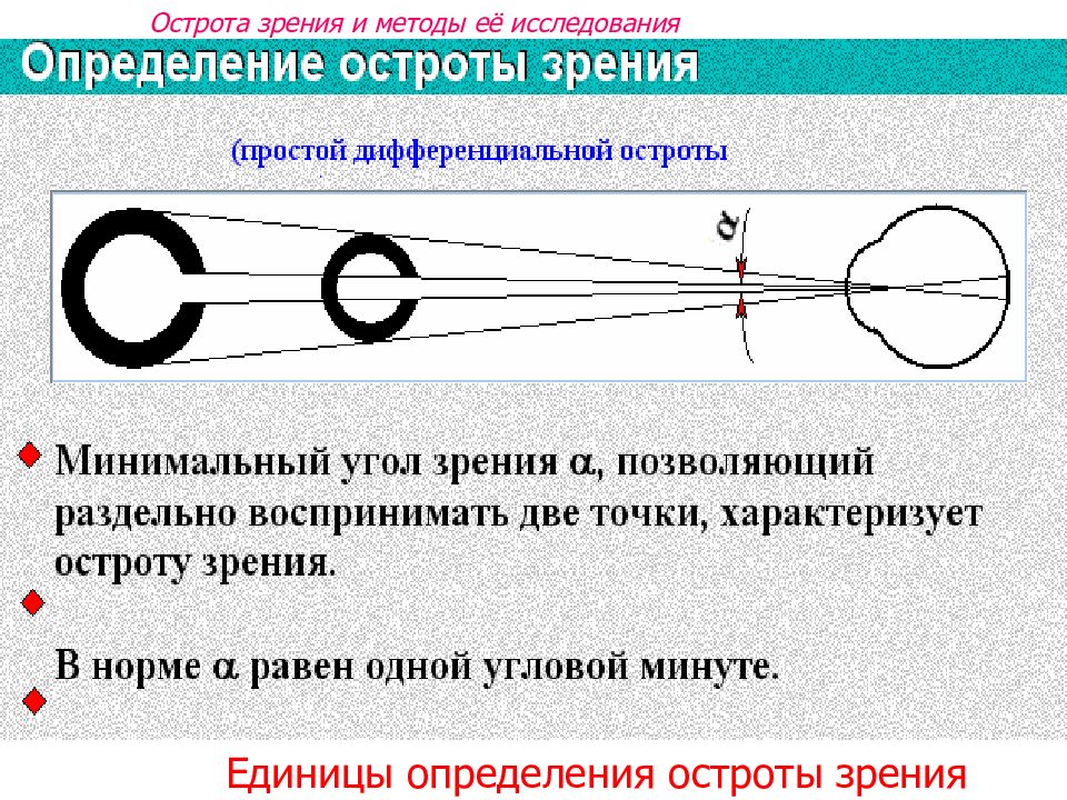 Зрение с точки зрения физики индивидуальный проект