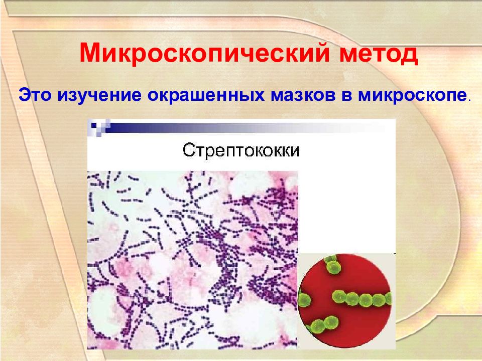 Исследование микроорганизма. Микроскопический метод исследования. Микроскопический метод исследования микроорганизмов. Микроскопический метод изучения микроорганизмов. Макроскопическое исследование микроорганизмов.