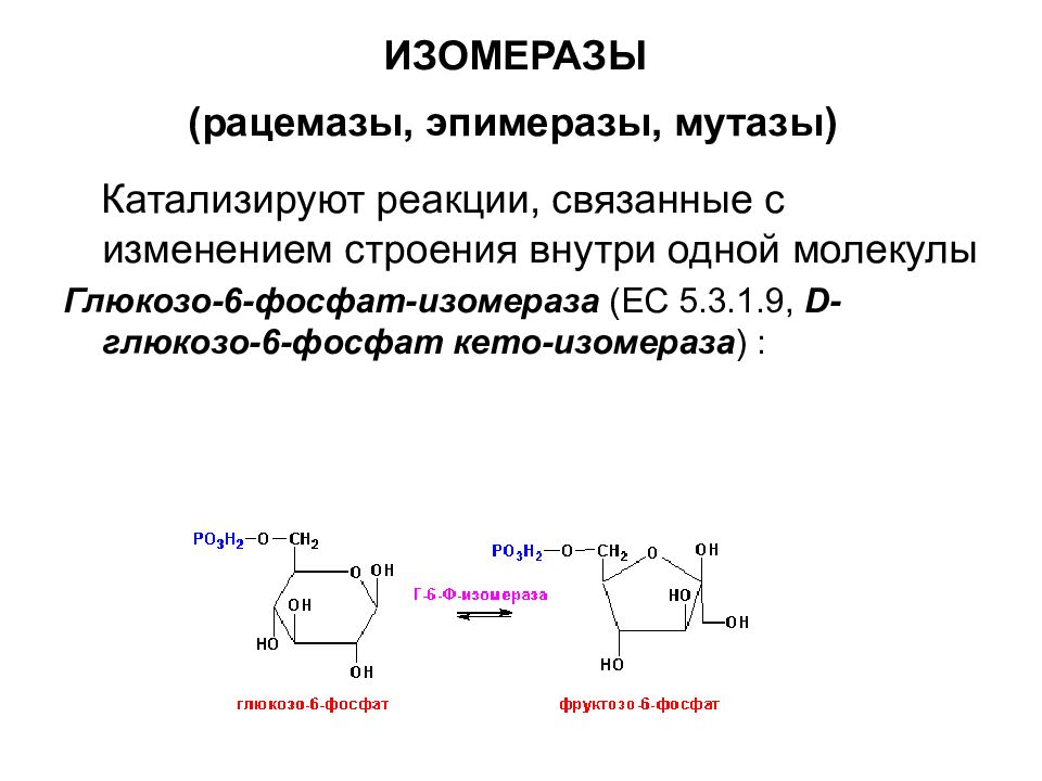 Реакция катализируемая алт. Реакцию глюкозо 6 фосфат Глюкоза h3po4 катализирует фермент. Изомеразы ферменты. Глюкозо 6 фосфатизомераза. Реакции катализируемые аденилаткиназой.