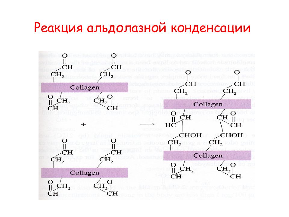 Реакция в тканях. Альдолазная реакция. Реакция конденсации. Конденсация биохимия. Продукт альдолазной реакции.