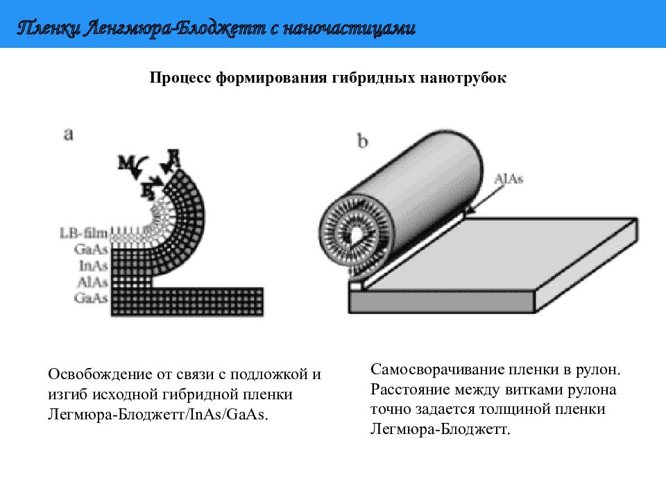 Образует пленку. Типы пленок Ленгмюра-Блоджетт.