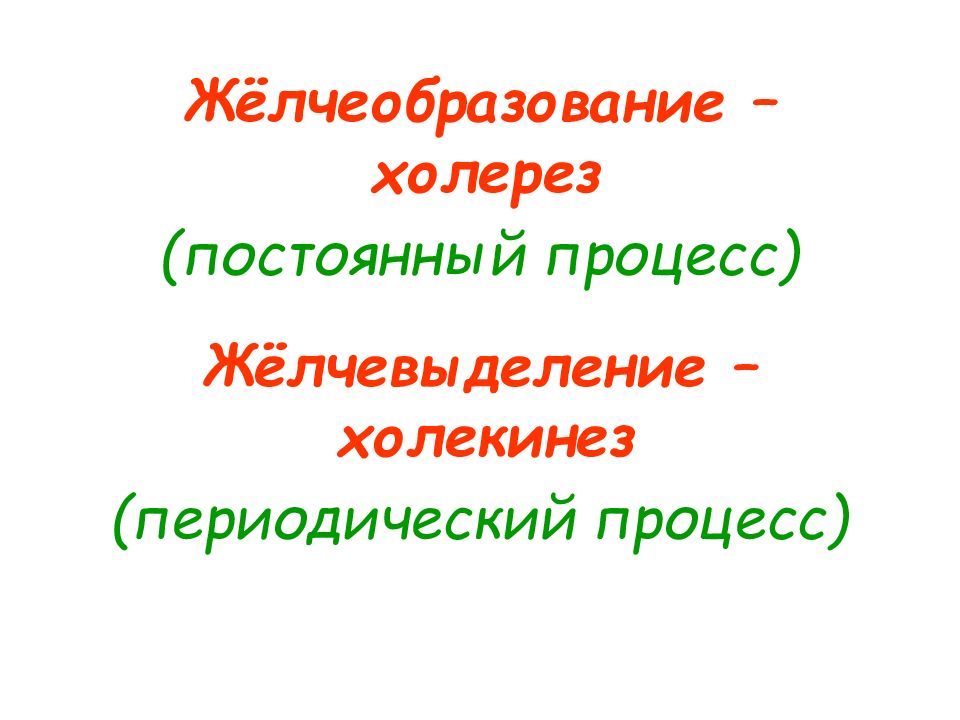 Постоянный процесс. Холерез и холекинез. Процесс холекинеза. Холерез и холекинез происходят постоянно. Холерез этапы.