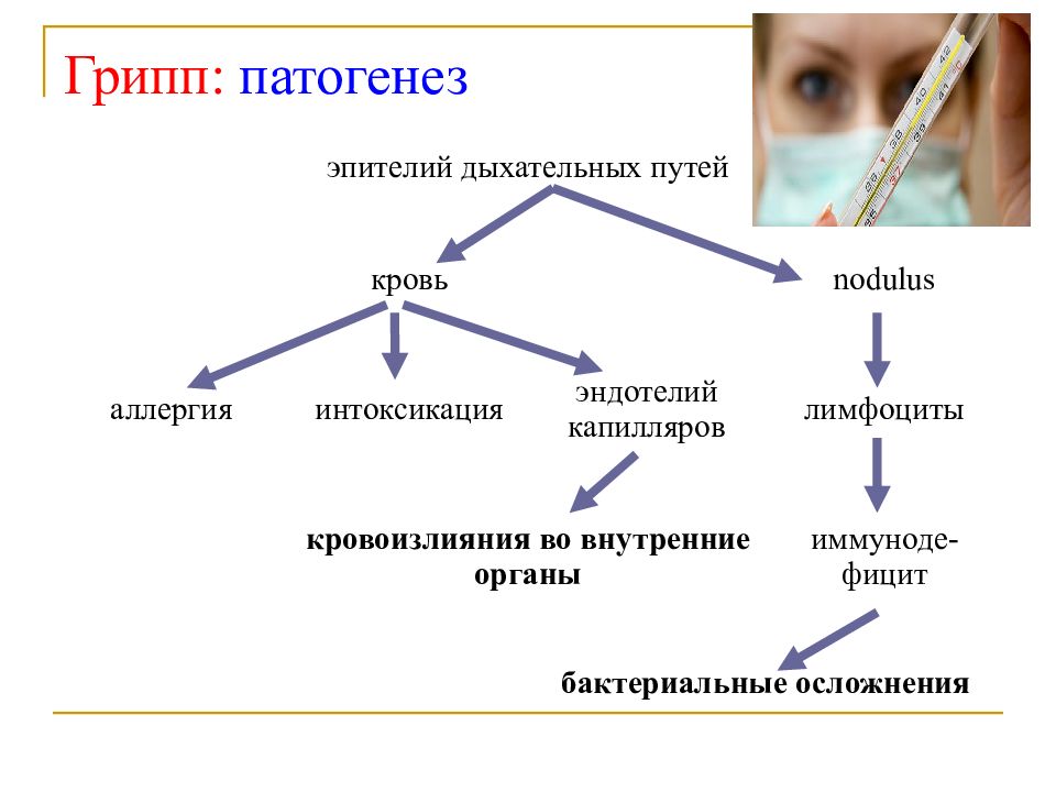 Патогенез гриппа схема