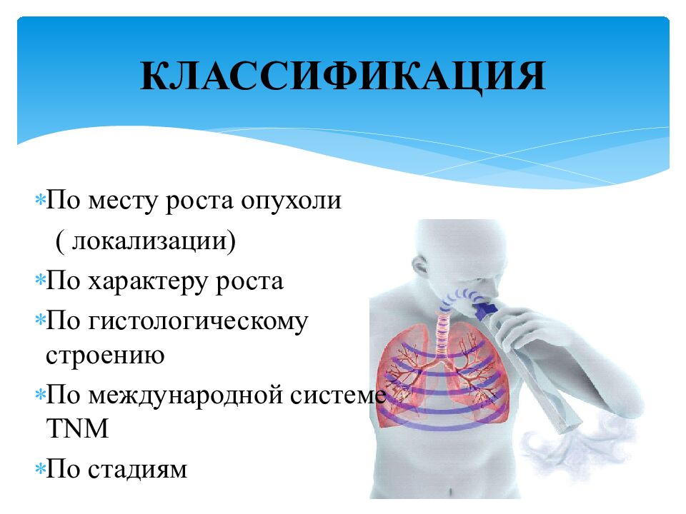 КЛАССИФИКАЦИЯ