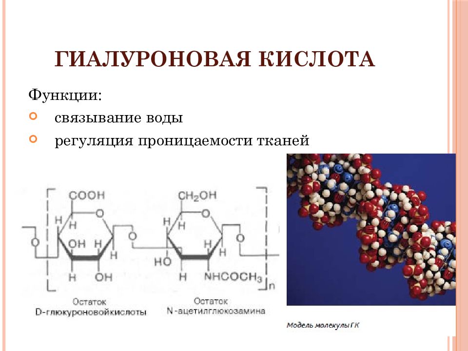 Функции кислот. Функции гиалуроновой кислоты биохимия. Структура гиалуроновой кислоты биохимия. Фрагмент гиалуроновой кислоты формула. Структурная формула гиалуроновой кислоты.