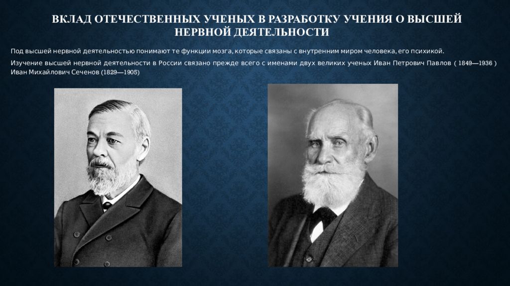 Вклад отечественных ученых в разработку учения. Стихийно-материалистическая позиция ученые. Принцип нервизма. Вклад ученых в медицину психология. Принцип нервизма Павлов.